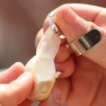 夏こそニンニク料理はいかがですか? 夏こそニンニク料理はいかがですか?